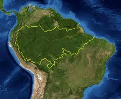 Amazonia Region, Brazil